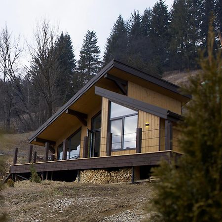 Ferienwohnung Petrick House Werchowyna Exterior foto